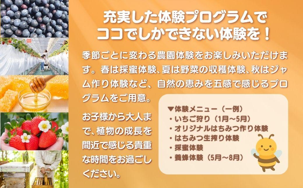 ［山田みつばち農園］体験割引チケット（2000円分）049-a001