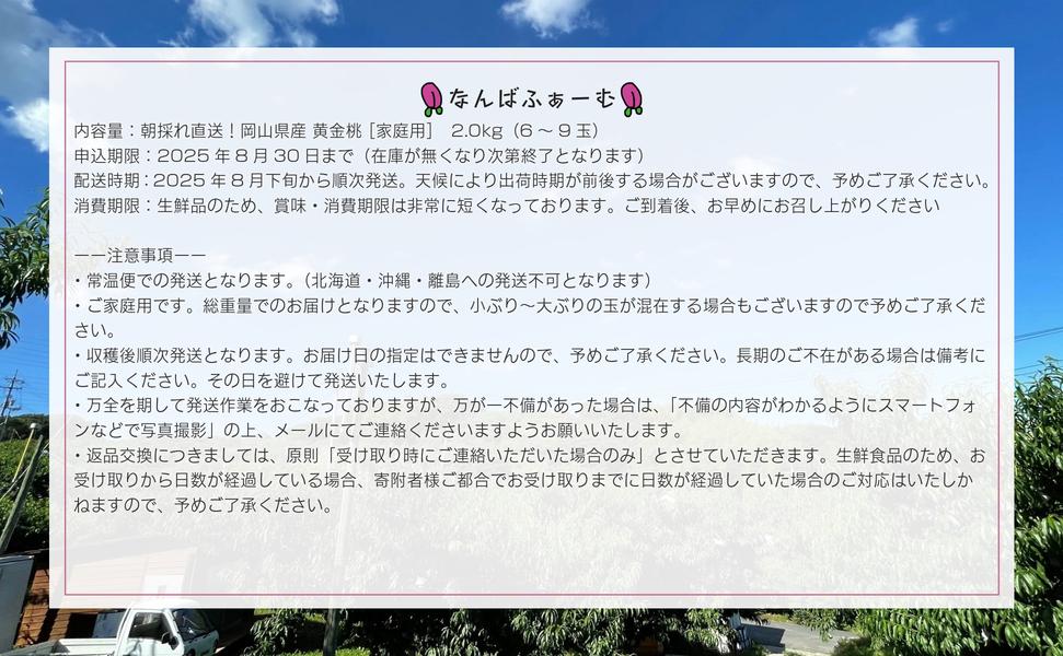 【2026年先行予約】［なんばふぁーむ］岡山県産 黄金桃 2.0kg（6～9玉）［ご家庭用］ 2.0kg（6～9玉）