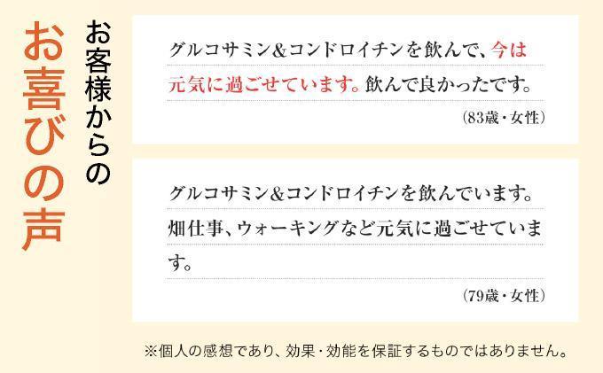 ＜定期便全6回＞グルコサミン＆コンドロイチン（28313）【006-a106】 定期便×6回