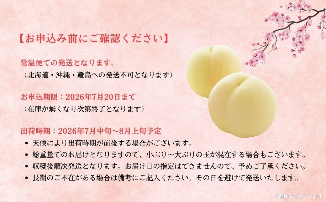 【2026年先行予約】［拝郷果樹園］岡山県産 清水白桃 約2kg（6玉～9玉）