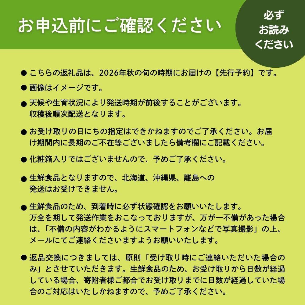 【2026年発送分 先行予約】岡山県産 シャインマスカット 1.2kg以上（2～3房）【ご家庭用】【025-a035】 1.2kg以上（2～3房）