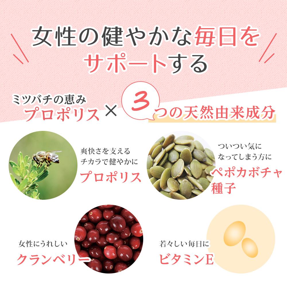 ＣＣＢｅｅ（01040）【006-a092】