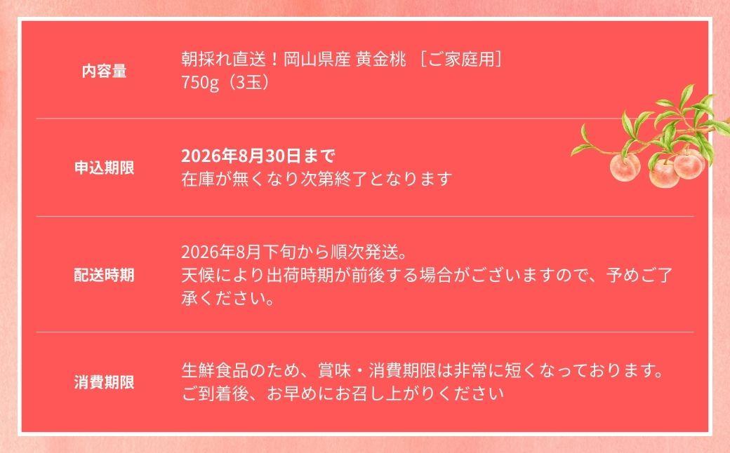 【2026年先行予約】［なんばふぁーむ］岡山県産 黄金桃 750g（3玉）［ご家庭用］【039-a013】 750g（3玉）