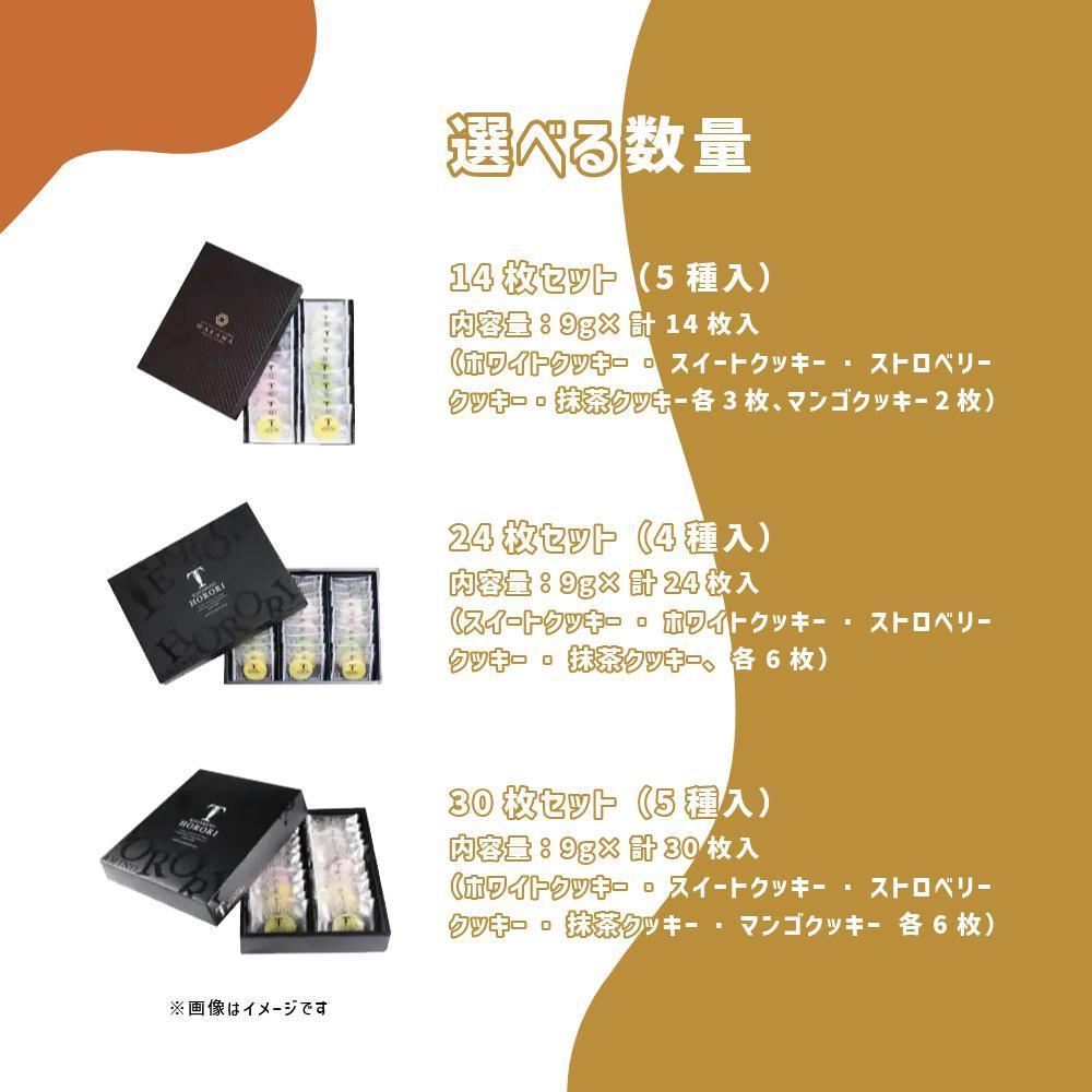 とろけるショコラクッキー 鏡野ほろり 30枚セット（5種入）【031-a003】 30枚セット（5種入）