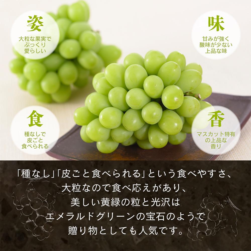 【先行予約　2025年12月上旬～2026年1月発送】旬果蔵出し　岡山県産シャインマスカット 1.8kg以上（3～4房）【021-a023】  1.8kg以上（3～4房）