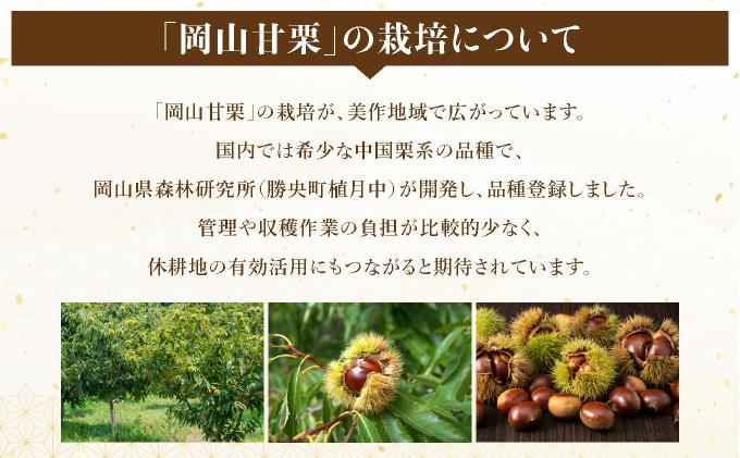 岡山甘栗・ギフト3パック詰合せセット【010-a014】