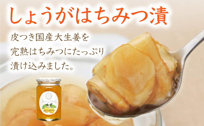 はちみつ＆はちみつ漬けセット（87665）【006-a044】