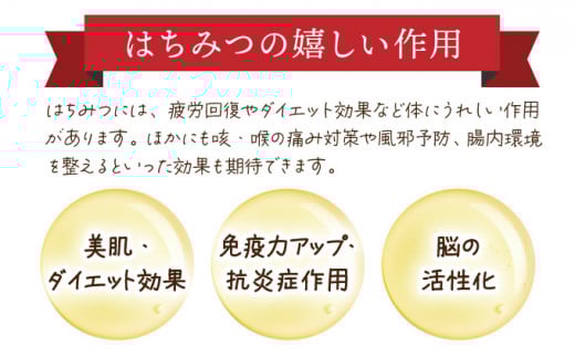 ローヤルゼリードリンク＜100ml×10本＞（313）【006-a046】