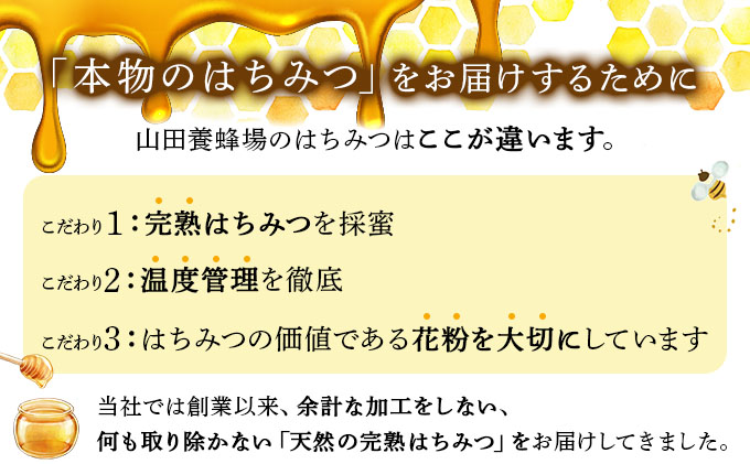 山田養蜂場　里山の百花蜂蜜300g（プラ容器入）×3本 （64253）【006-a066】
