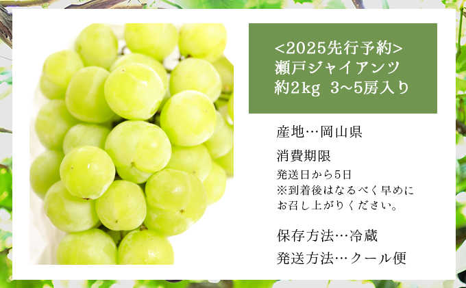 ＜2025年発送分 先行予約＞梅村ファーム 朝摘み直送 瀬戸ジャイアンツ（3房～5房入り 約2kg）【030-a013】