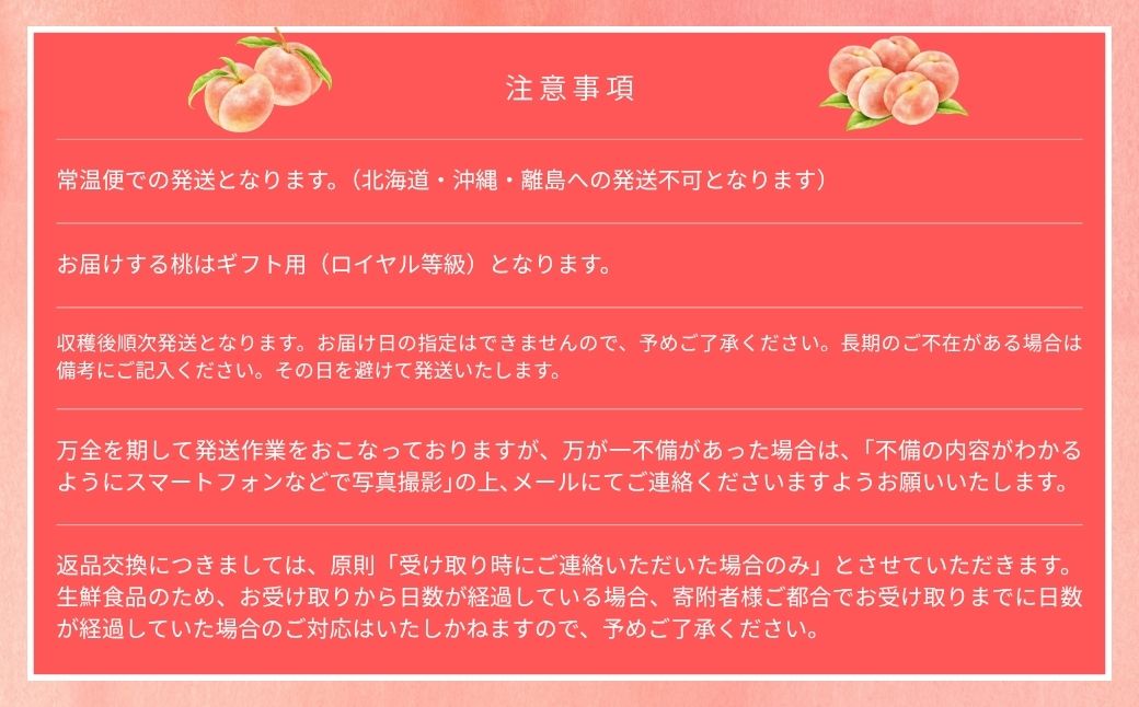 【2026年先行予約】［なんばふぁーむ］岡山県産 黄金桃 1.5kg（4〜6玉）[ギフト用]【039-a008】 1.5kg（4～6玉）