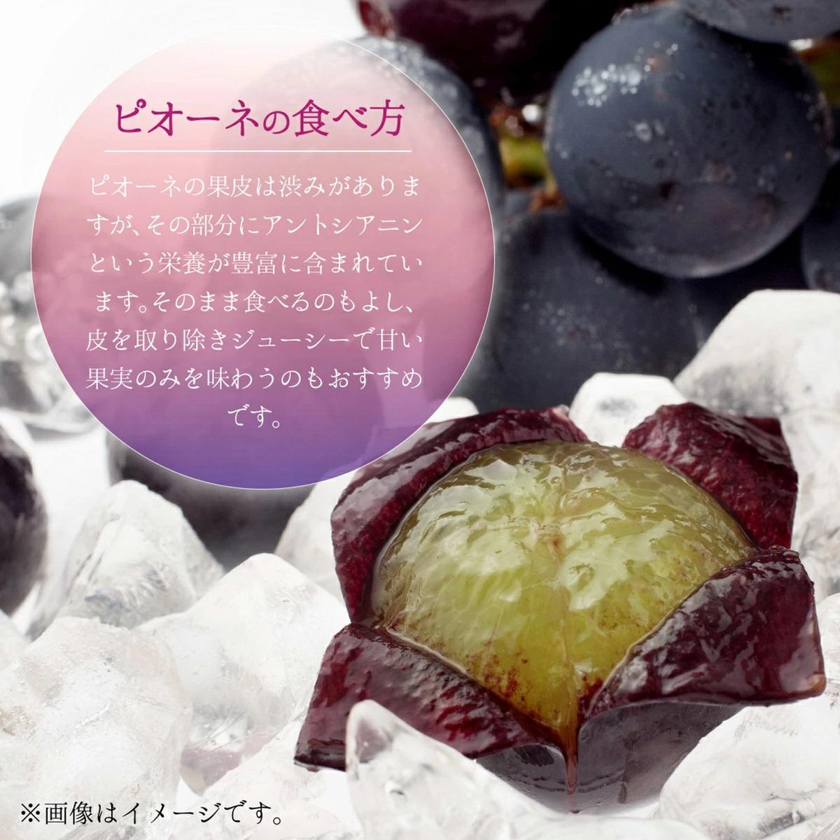 【2026年先行予約】［大原観光果樹園］ピオーネ1房とシャインマスカット1房（計2房 約1.2kg）【026-a017】 計2房 約1.2kg