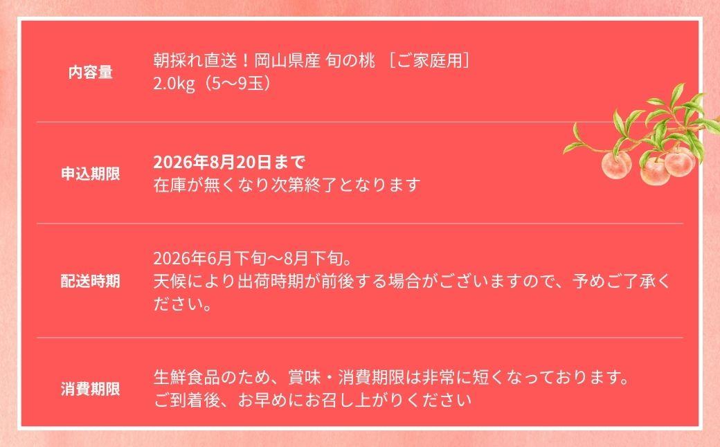 ＜数量限定＞［なんばふぁーむ］岡山県産 旬の桃 2.0kg（5～9玉）［ご家庭用］【2026年発送】 2.0kg（5～9玉）