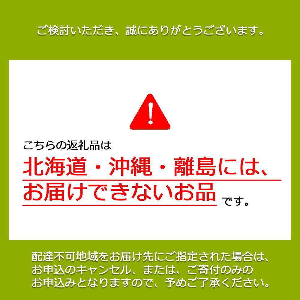 【先行予約　2025年12月上旬～2026年1月発送】旬果蔵出し　岡山県産シャインマスカット 1.8kg以上（3～4房）【021-a023】  1.8kg以上（3～4房）