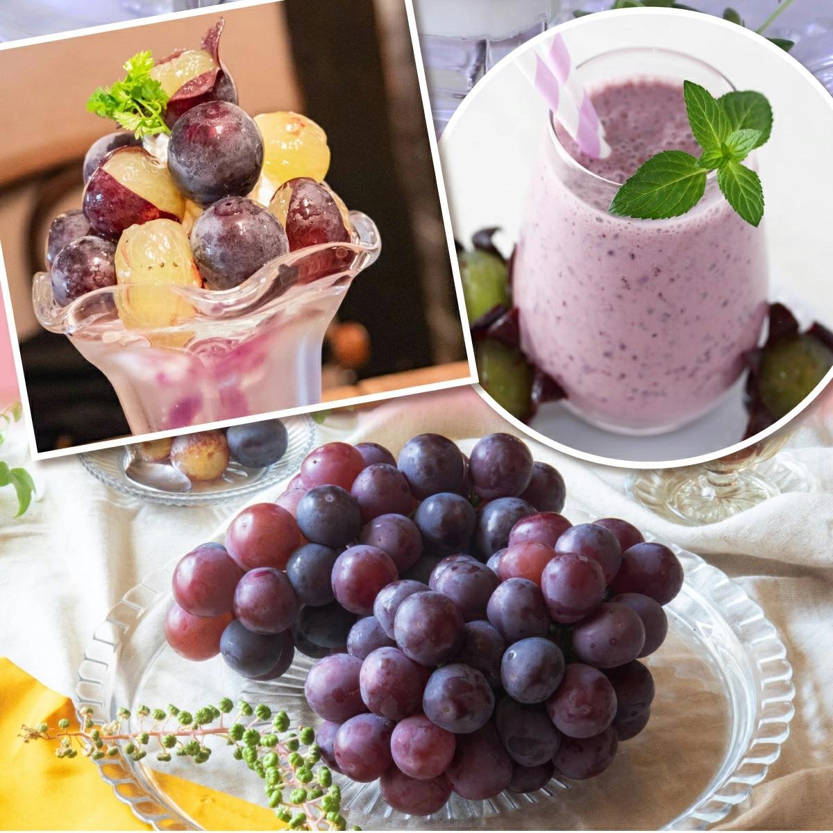 【2026年先行予約】［大原観光果樹園］ピオーネ 2房（約1.2kg）【026-a012】 2房（約1.2kg）