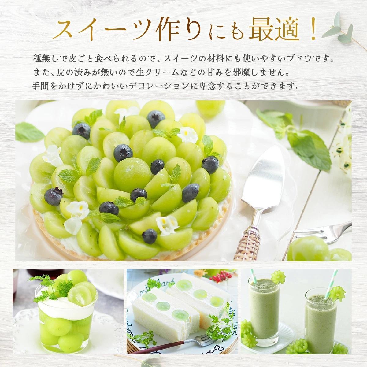 【2026年発送分 先行予約】岡山県産 シャインマスカット 1.5kg以上（3～4房）【ご家庭用】【025-a036】 1.5kg以上（3～4房）