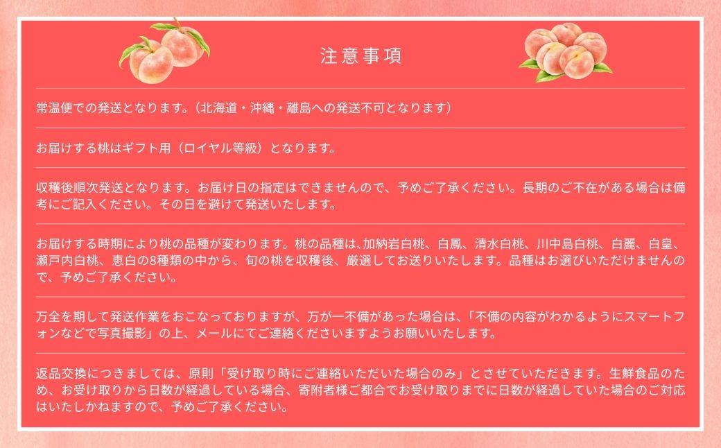 ＜数量限定＞［なんばふぁーむ］岡山県産 旬の桃 1.5kg（4～6玉）[ギフト用]【2026年発送】039-a003 1.5kg（4～6玉）