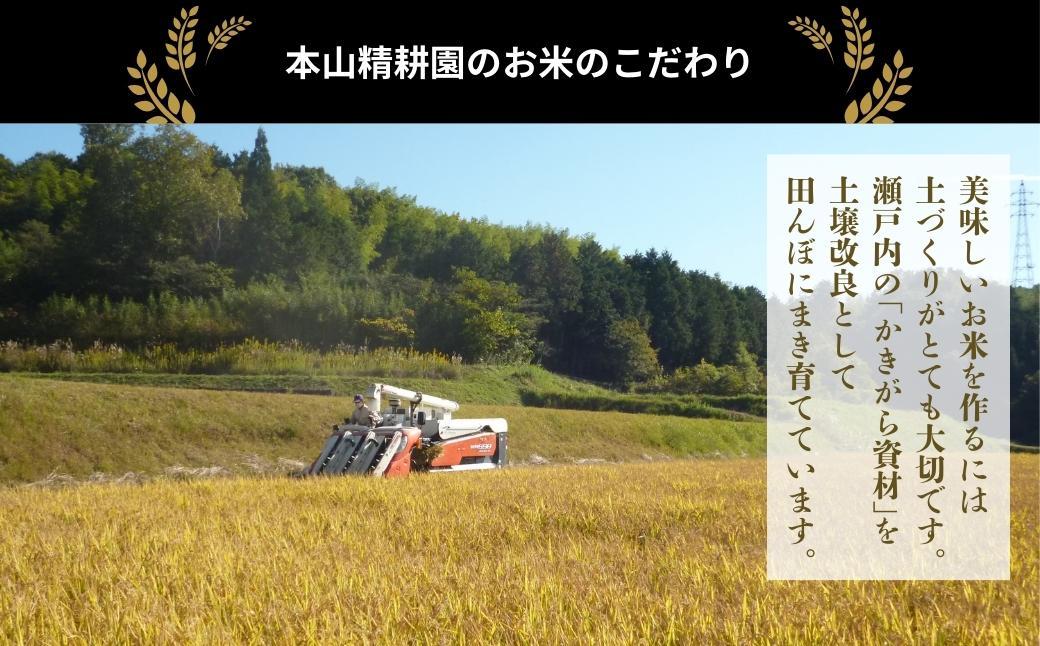 令和7年産 鏡野町産 きぬむすめ 精米【10kg】035-a013 10kg