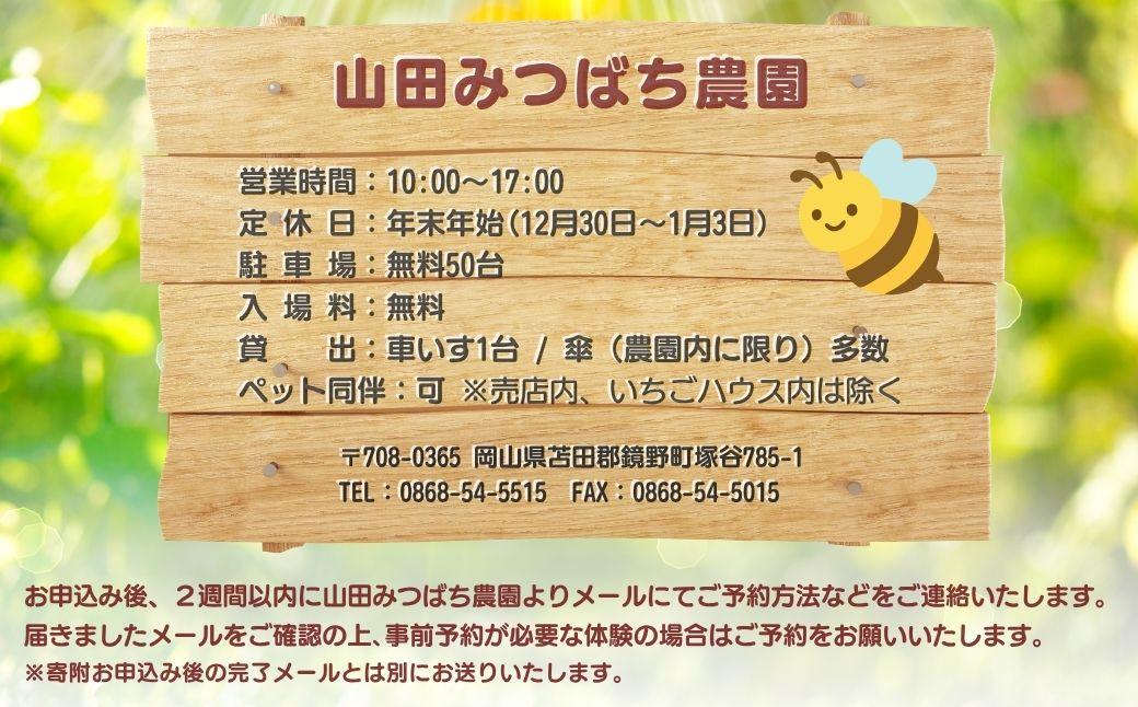 ［山田みつばち農園］体験割引チケット（2000円分）049-a001