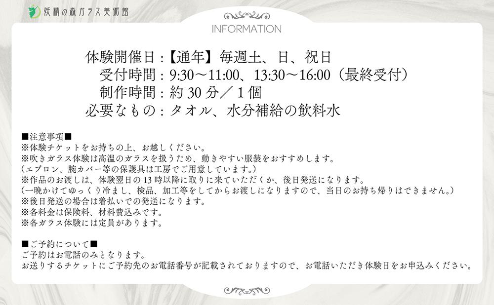 ウランガラスの吹きガラス体験【1名様】【028-a014】 1名様