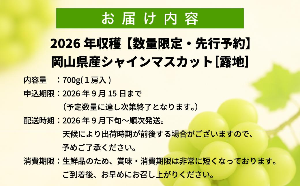 【2026年先行予約】［露地］岡山県産シャインマスカット 700g（１房入） 700g（１房入）