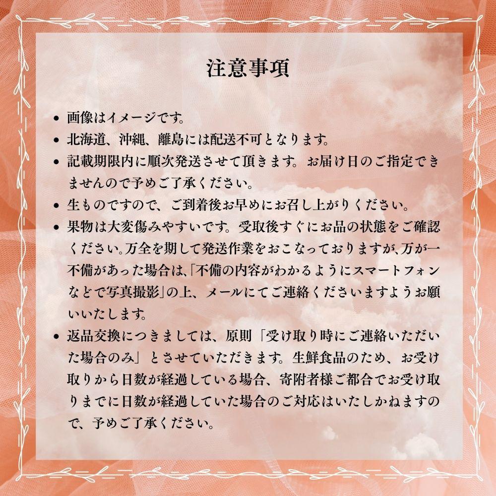 【先行予約】晴れの国おかやま 白桃・黄金桃食べ比べ6玉【8月下旬～9月上旬発送】【021-a025】 食べ比べ6玉