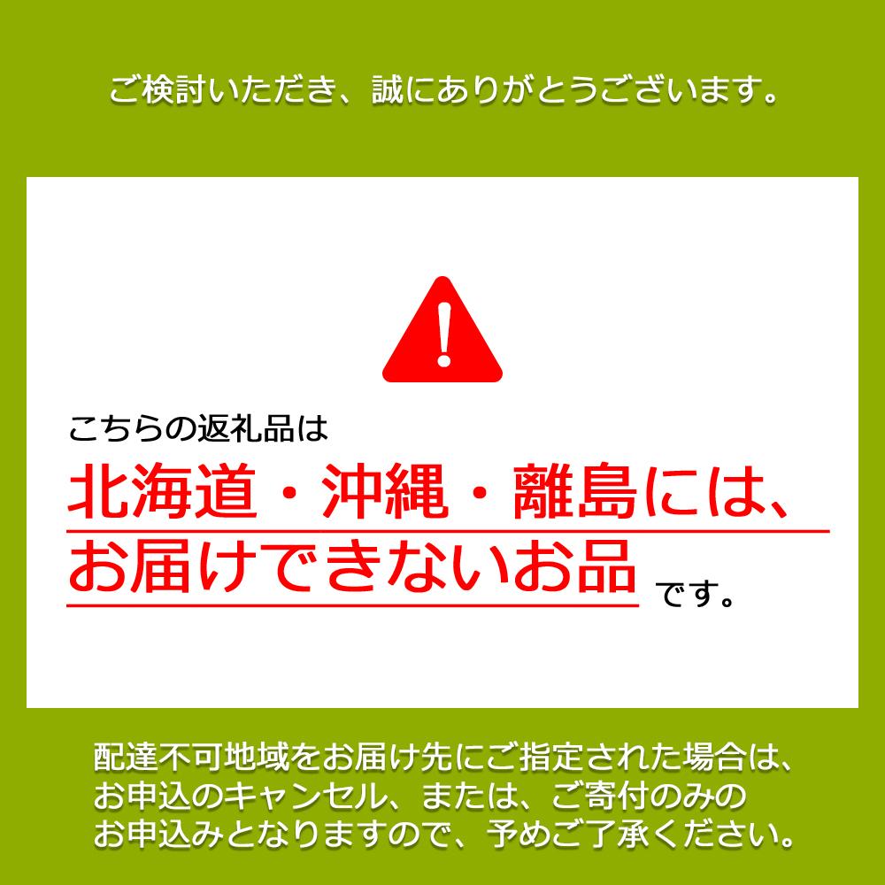 【先行予約　2025年12月上旬～2026年1月発送】旬果蔵出し　岡山県産シャインマスカット 1.2kg以上（2～3房）【021-a022】 1.2kg以上（2～3房）