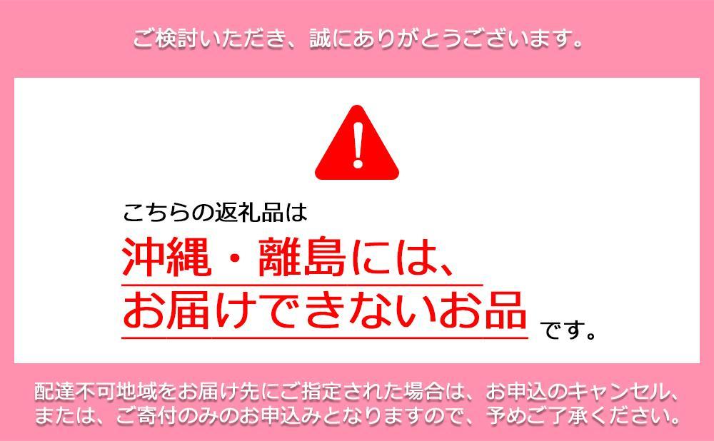 鏡野町産 朝採れ！旬の完熟いちご 300g×2パック＜2026年1月～3月発送＞【038-a003】 300g×2パック