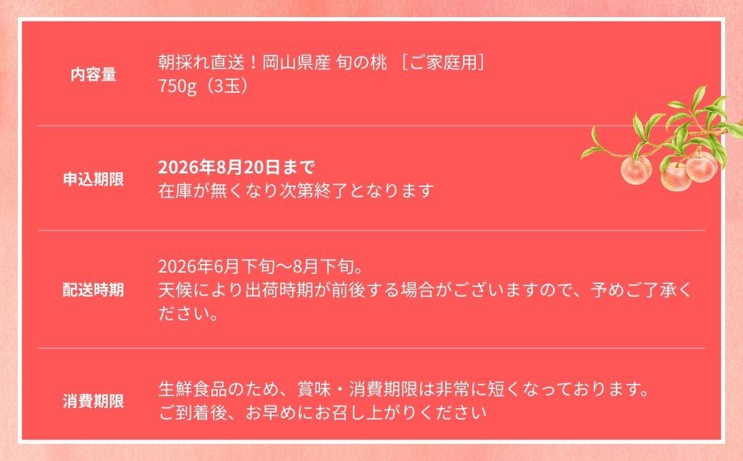 ＜数量限定＞［なんばふぁーむ］岡山県産 旬の桃 750g（3玉）［ご家庭用］【2026年発送】【039-a011】 750g（3玉）