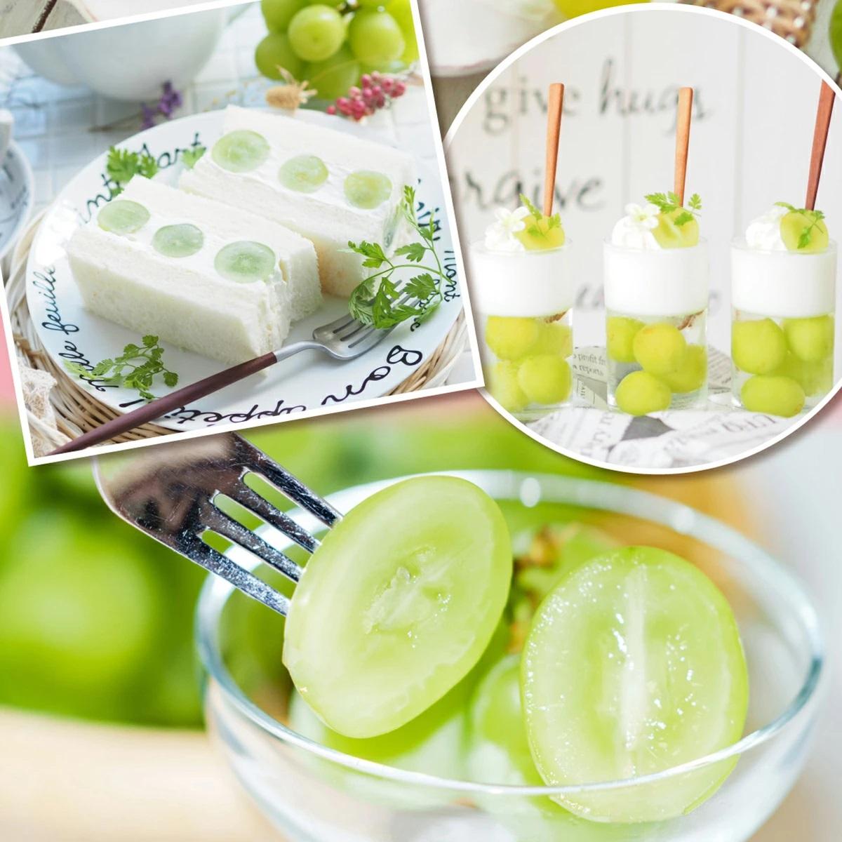 【2026年先行予約】［大原観光果樹園］シャインマスカット 2房（約1.2kg）【026-a014】 2房（約1.2kg）