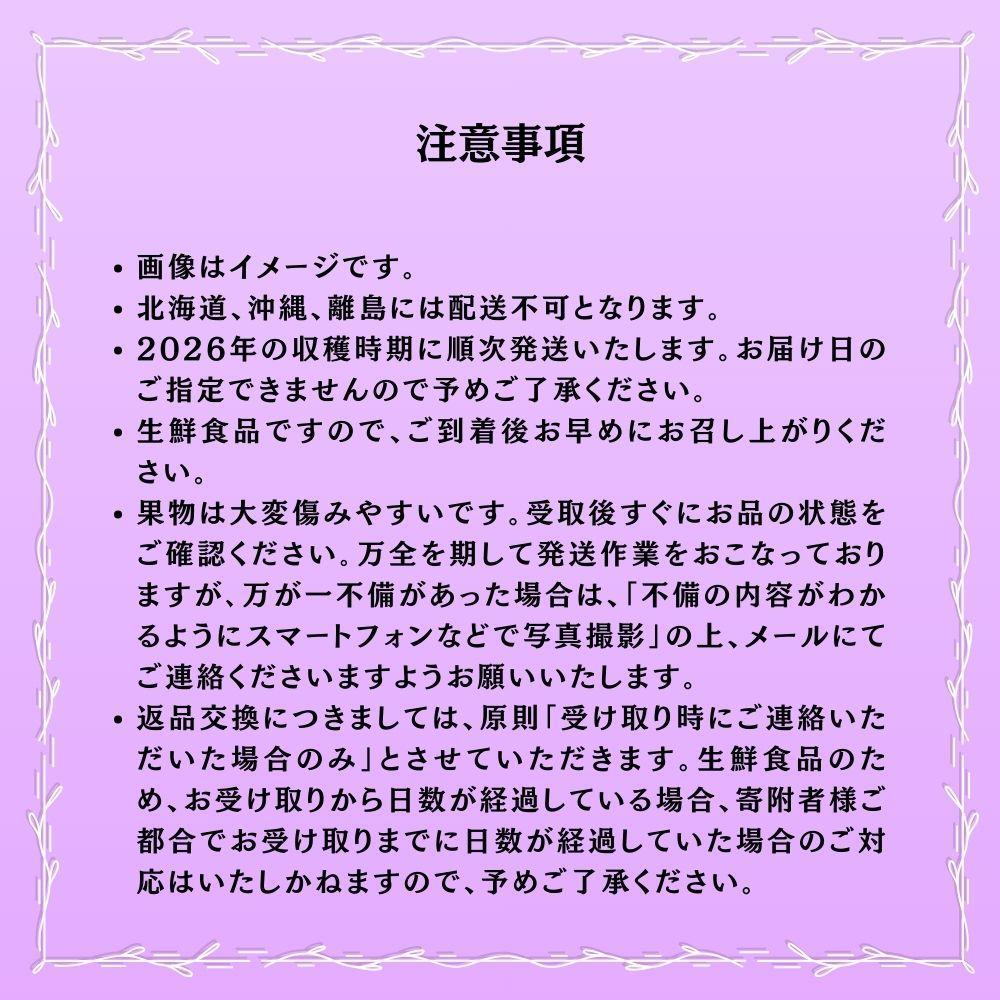 【2026年発送 先行予約】【梅村ファーム】朝摘み直送 ピオーネ（3～5房入り 約2.0kg）【030-a021】 3～5房（計約2.0kg）