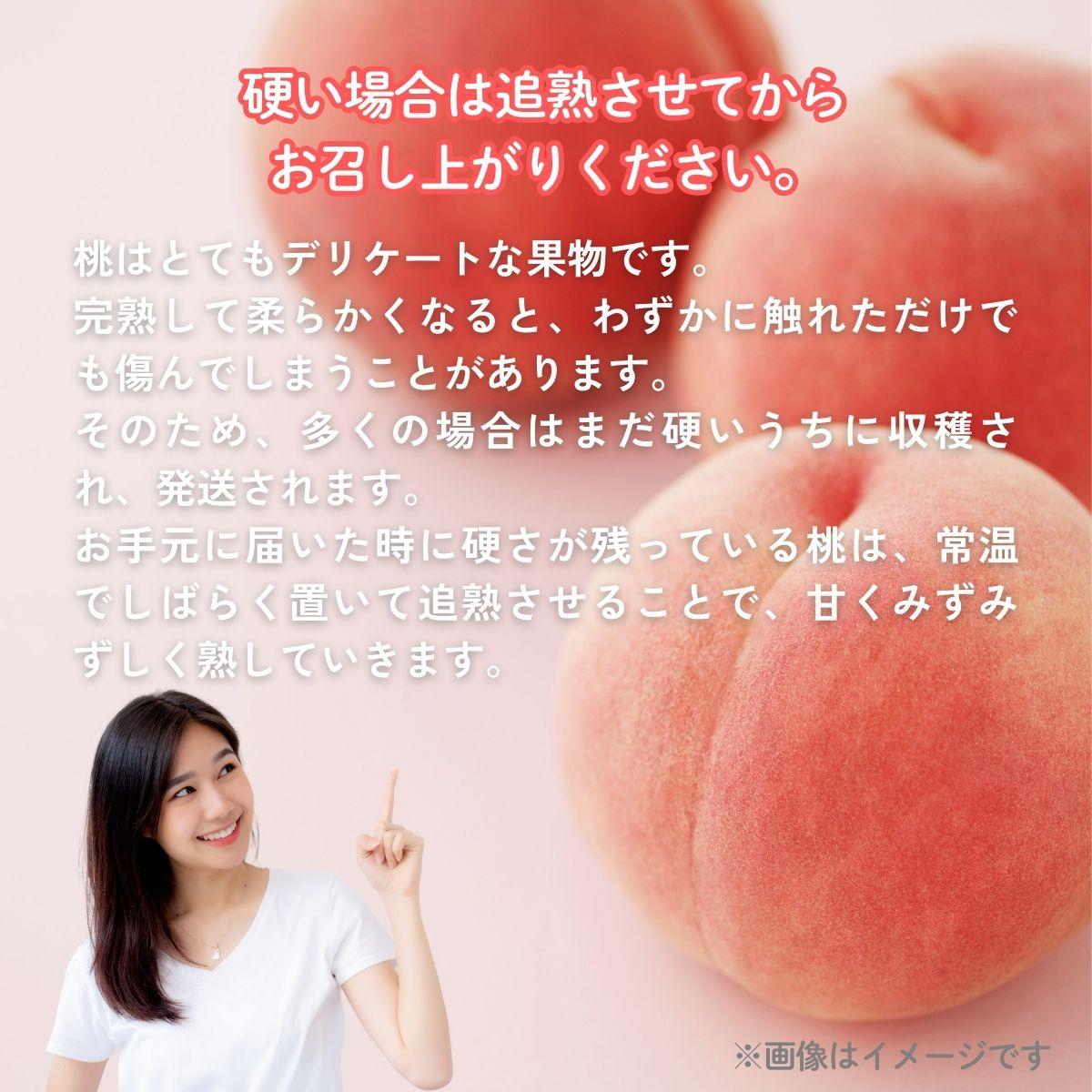 【2026年先行予約】［大原観光果樹園］岡山県産 旬の朝採れ白桃 1箱（約3kg 8玉）【026-a020】 約3kg8玉