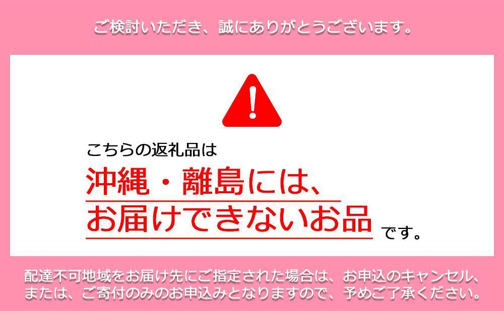 鏡野町産 朝採れ！旬の完熟いちご 300g×4パック＜2026年1月～3月発送＞【038-a004】 300g×4パック
