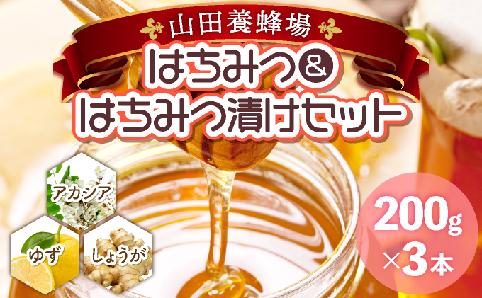 はちみつ＆はちみつ漬けセット（87665）【006-a044】