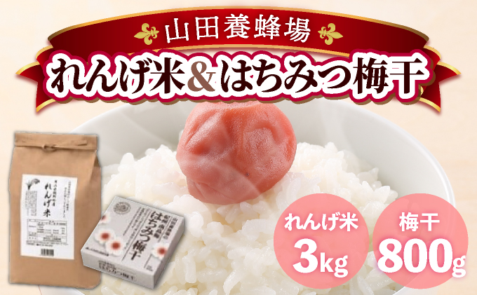 鏡野町産れんげ米＆はちみつ梅干（21876）【006-a051】