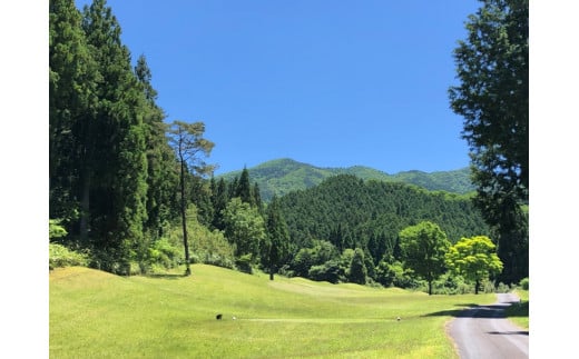 ＜9,000円分＞ 奥津ゴルフ倶楽部　施設利用券 1,000円券×9枚【017-a006】