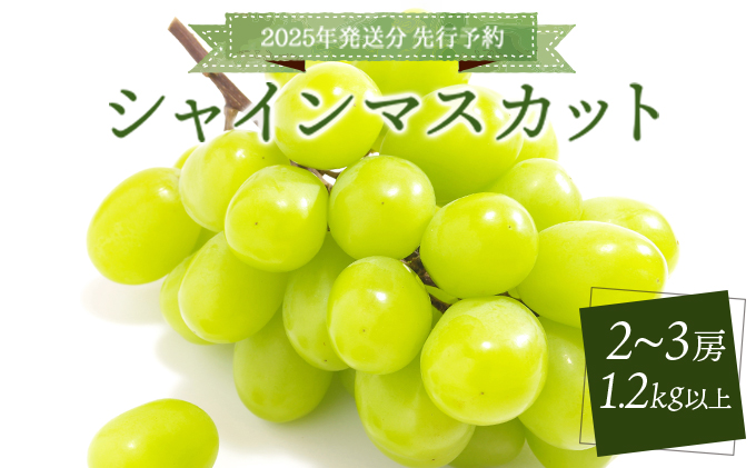 ＜2025年発送分 先行予約＞シャインマスカット 1.2kg以上（2～3房）【025-a021】