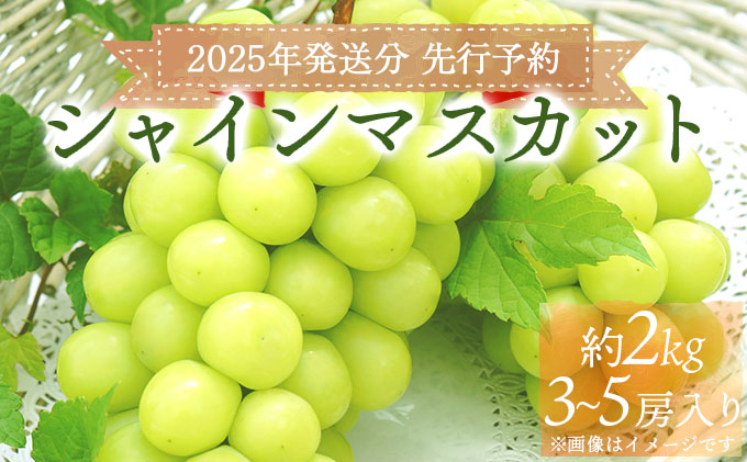 ＜2025年発送分 先行予約＞梅村ファーム 朝摘み直送 シャインマスカット（3房～5房 約2kg）【030-a011】
