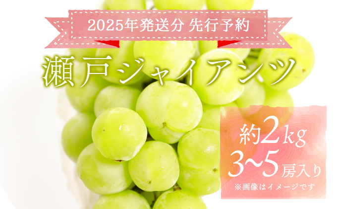 ＜2025年発送分 先行予約＞梅村ファーム 朝摘み直送 瀬戸ジャイアンツ（3房～5房入り 約2kg）【030-a013】