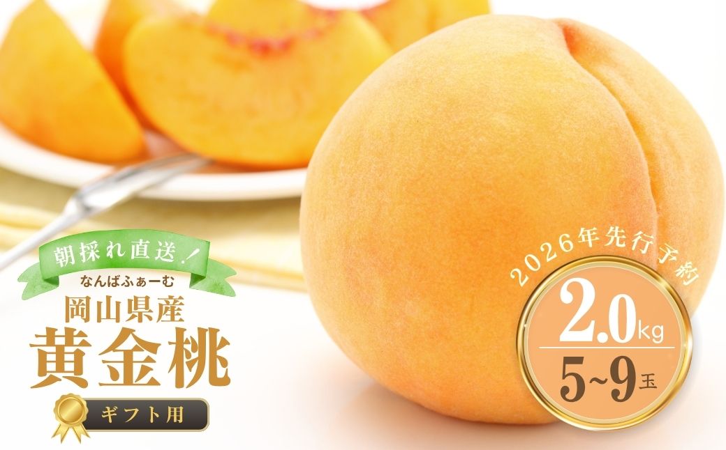 【2026年先行予約】［なんばふぁーむ］岡山県産 黄金桃 2.0kg（5〜9玉）[ギフト用]【039-a009】 2.0kg（5～9玉）