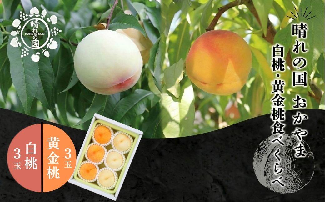 【先行予約】晴れの国おかやま 白桃・黄金桃食べ比べ6玉【8月下旬～9月上旬発送】【021-a025】 食べ比べ6玉