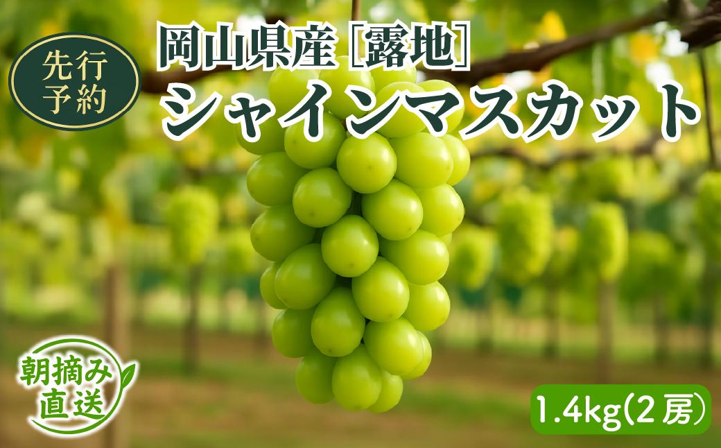 【2026年先行予約】［露地］岡山県産シャインマスカット 1.4kg（２房入） 1.4kg（２房入）