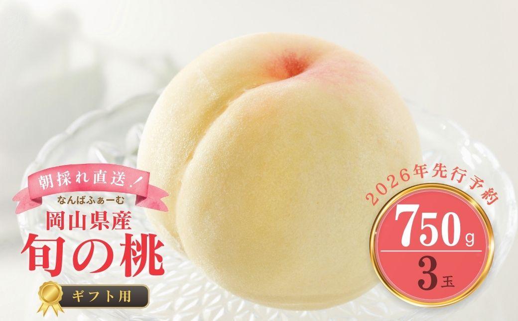 ＜数量限定＞［なんばふぁーむ］岡山県産 旬の桃 750kg（3玉）[ギフト用]【2026年発送】039-a012 750g（3玉）