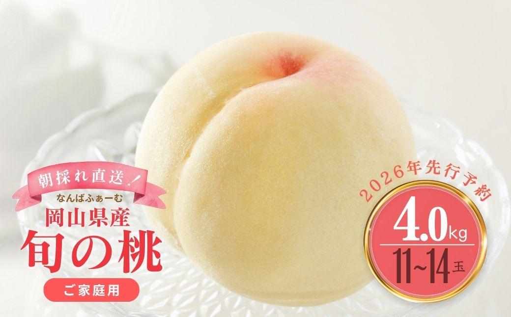 ＜数量限定＞［なんばふぁーむ］岡山県産 旬の桃 4.0kg（11～14玉）［ご家庭用］【2026年発送】 4.0kg（11～14玉）