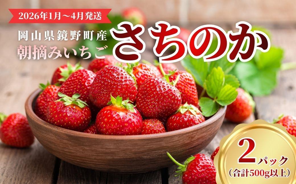 鏡野町産 朝摘みいちご「さちのか」2パック（合計500g）【2026年1月～4月発送】【029-a014】 2パック（合計500g）