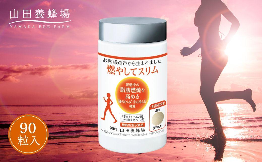 燃やしてスリム（28130）【006-a089】