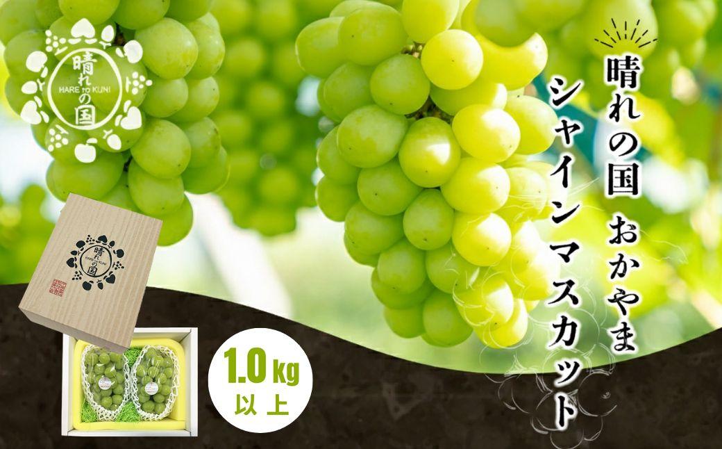 【先行予約 秋季 2026年9月上旬発送～】岡山県産シャインマスカット1.0kg（2～3房）【021-a019】 1.0kg（2～3房）