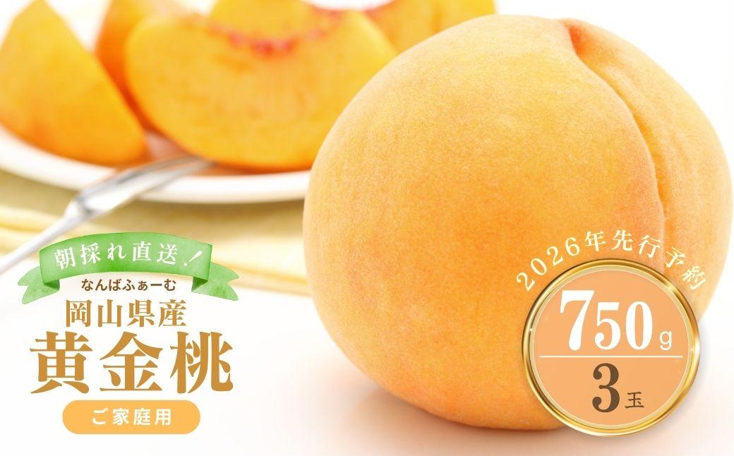 【2026年先行予約】［なんばふぁーむ］岡山県産 黄金桃 750g（3玉）［ご家庭用］【039-a013】 750g（3玉）