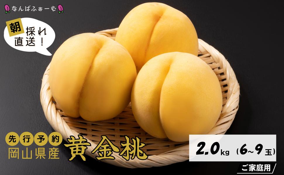 【2026年先行予約】［なんばふぁーむ］岡山県産 黄金桃 2.0kg（6～9玉）［ご家庭用］ 2.0kg（6～9玉）