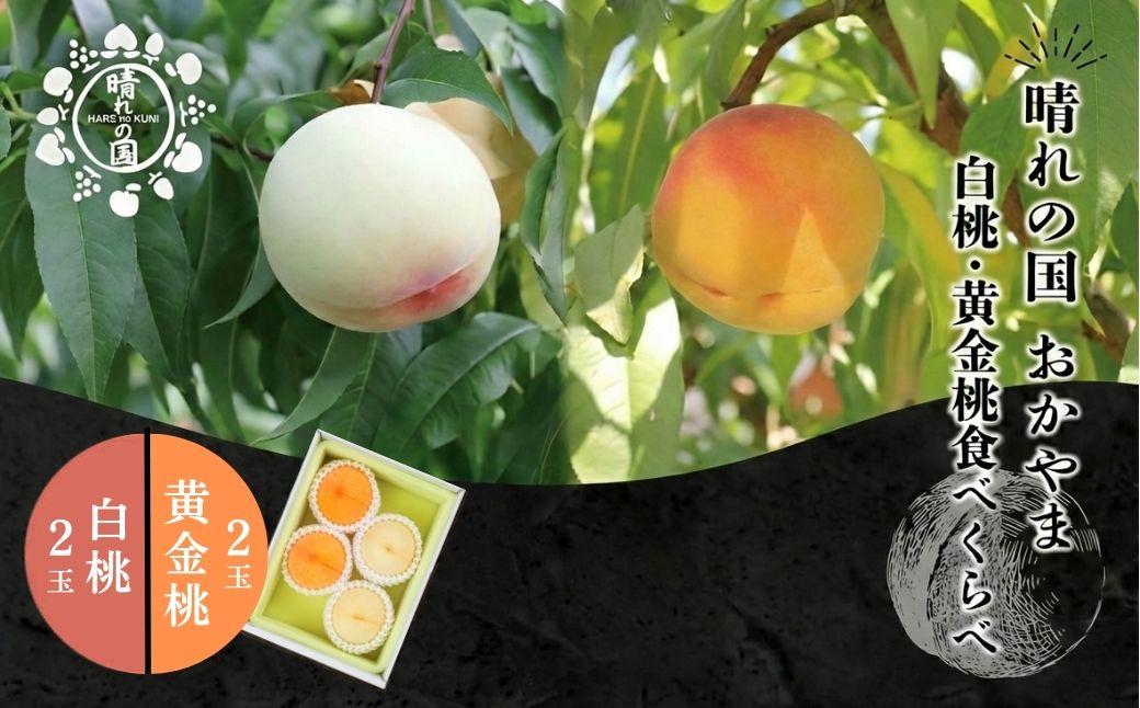 【先行予約】晴れの国おかやま 白桃・黄金桃食べ比べ４玉【8月下旬～9月上旬発送】【021-a024】 食べ比べ4玉